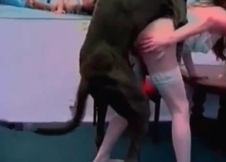 Black Doberman licking her real good