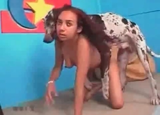 Black chick and a Dalmatian